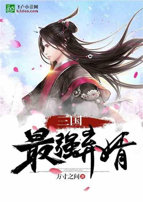数码宝贝8